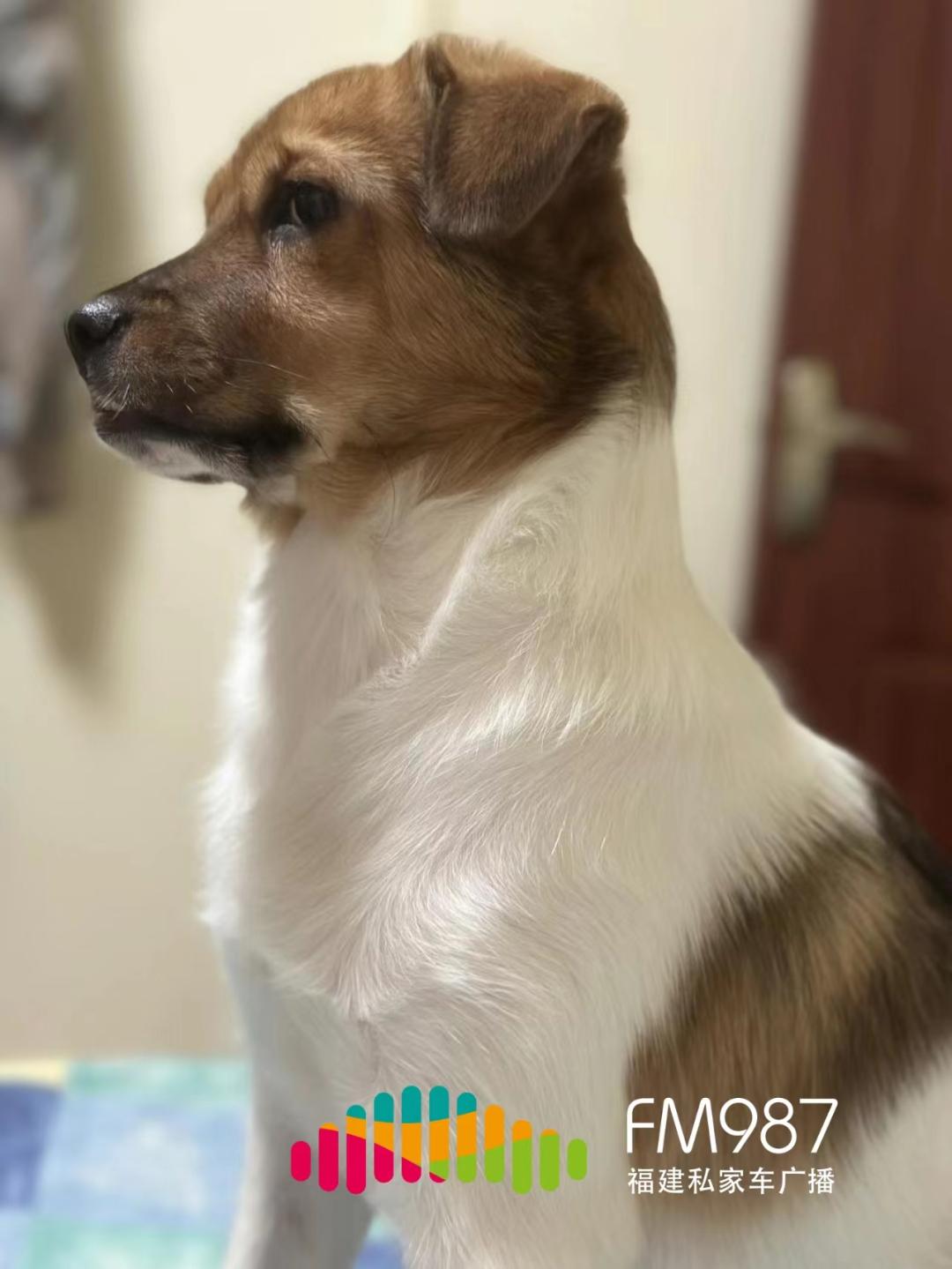 DƬ
